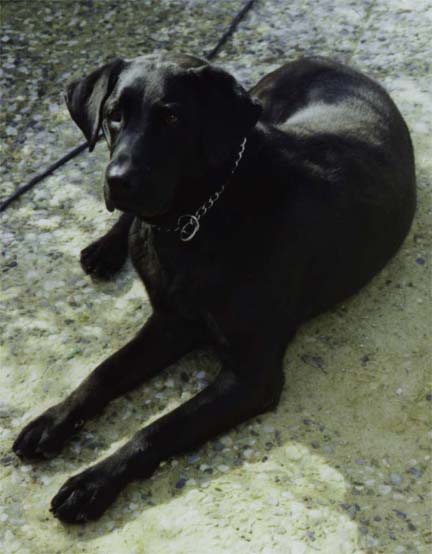 [verlinkte Grafik wurde nicht gefunden]